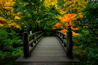 Fall Color, Portland Japanese Gardens