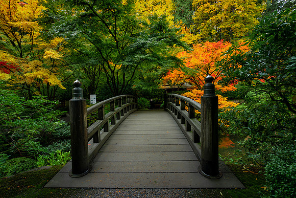 Fall Color, Portland Japanese Gardens