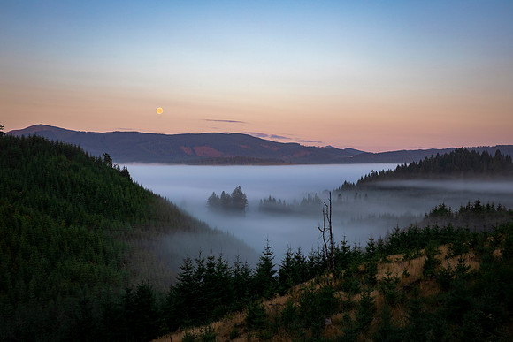 Foggy Valley Moon set