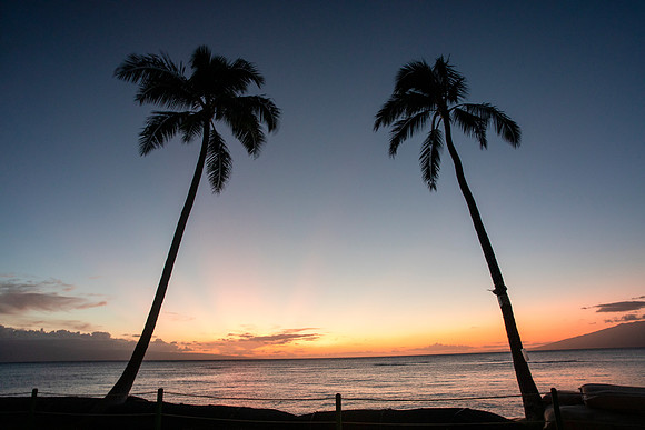 Twin Palms Sunset, Maui, Hawaii