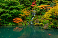 Fall Color, Waterfall at Portland Japanese Gardens