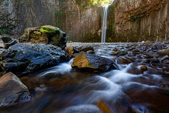 Abiqua Lights