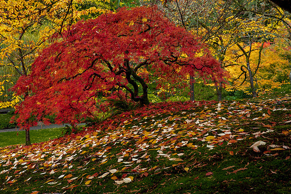 Changing of the Seasons